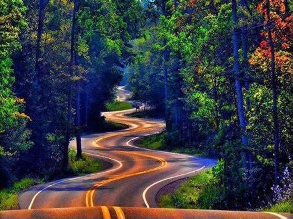 Miniature of Curvy road in forest